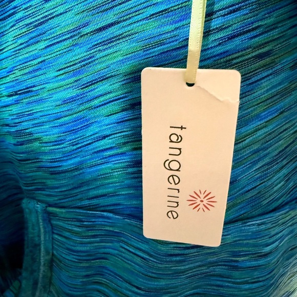 Tangerine Med Green Space-Dye Long Sleeve Hoodie | NWT - Picture 5 of 7